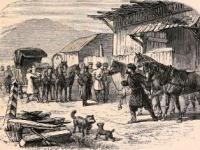 В 1879 году в Верном был образован Статистический комитет.