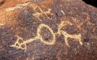 The image tamga. Saks petroglyphs Usek.