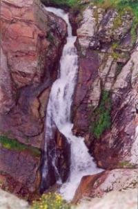 In gorge Kshi-Kaindy. Vicinities of national natural park Aksu-Zhabagly.