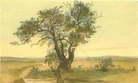 Т. Г. Шевченко. Джангыс-агач. Акварель, V.1848.