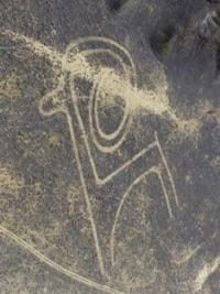Sacred аrgali.