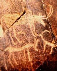 Koybagar petroglyphs.