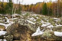 The stone river in West Altai Reserve. Photos by Elena Lyamkina.
