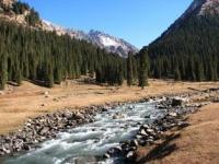 The river Karakol in the top part of gorge Karakol.