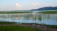Lake Big Shchuchye in Karkaraly park.