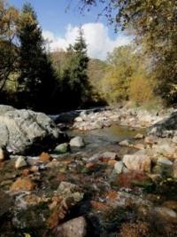 Turgen gorge.