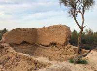 The settlement of Zhent. Kyzylorda Region.