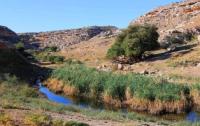 Valley Tamshaly.