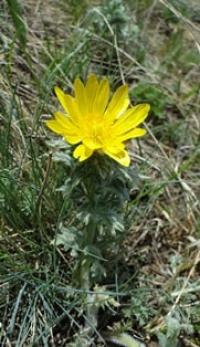 Natural sights of Central Kazakhstan.
