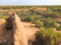 The settlement of Zhent. Kyzylorda Region.