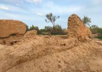 The settlement of Zhent. Kyzylorda Region.