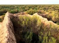 The settlement of Zhent. Kyzylorda Region.