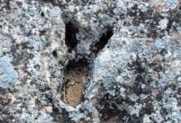 Footprints on hollow Zhygylgan.