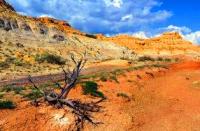 Clay Hills Ashutas