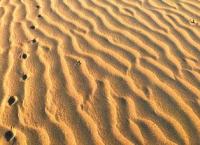 Sands Sauskan and environs.