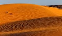 Sands Egizlak and environs.