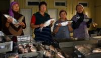 At plant on processing of fish.