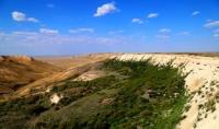 Northern cliff Ustyurt plateau.