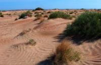 Sands Baskuduk and environs.