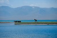 Toktogul reservoir.