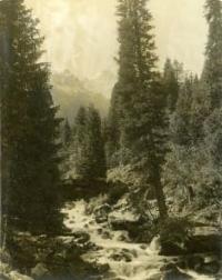 The environs of Verny. Malo-Almatinskoye Gorge. Photo by Pavel Leybin. Around 1913.