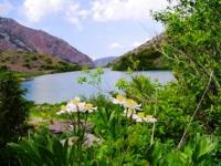 Sairamsu Lower Lake.