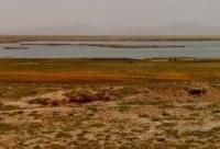 Lake Chatyr-Kul. Photograph by Alexander Petrov. 2023.