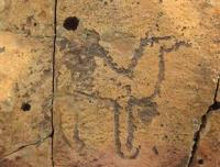 The Toleubulak petroglyphs.