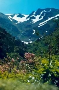 Ущелье Талдыбулак. Фотография Сергея Буланова.