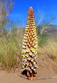 Natural sights of Central Kazakhstan.