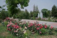 Ashgabad park.