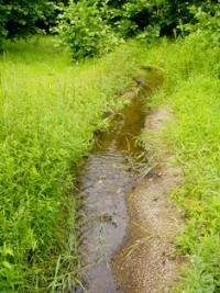 Rivers in Bayanaul of mountains.