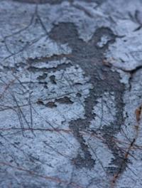The Image of the person. Rock drawings Eshkiolmes.