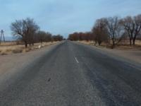 Road from settlement Zharkent.