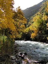 In Turgen gorge.