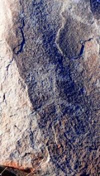 The petroglyphs of Zyngyrtas.