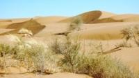 Kara Kum Desert.