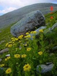 The western Altai of Kazakhstan.