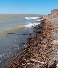 Капшагайское водохранилище.