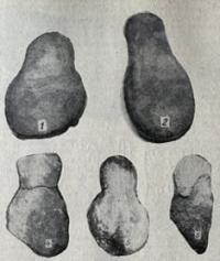 Dzhezkazgan ore crushing tools, stone pestles and hammers.