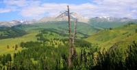 Vicinities of the pass of Alataysky. Mounts Altai.