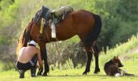 Kumе-alu Kazakh of national game.
