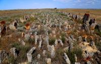 Ruins the fort New-Aleksandrovsky.