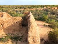 Городище Жент. Кызылординская область.