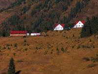 National park Kolsai.
