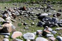A small burial mound in the ancient settlement of Malyi Koytas.