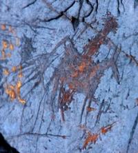 Eshkiolmes subjects of art petroglyphs.