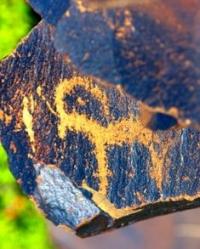 The Deer-soiled. Petroglyphs the Bayan-Zhurek.