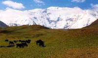 View of the Dzerzhinsky peak from the Koman-Suu valley. 1992.