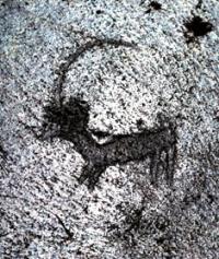 Petroglyphs the Bayan-Zhurek of an epoch of bronze.